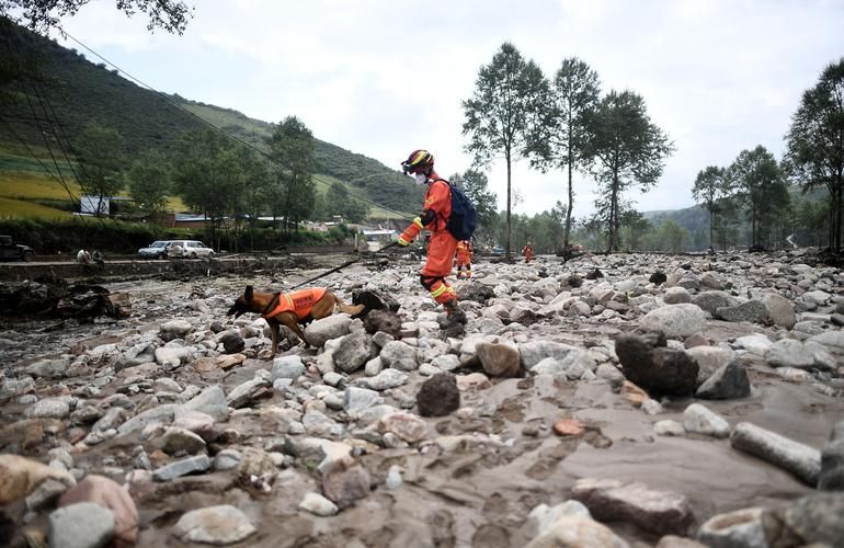 青海省西宁市大通回族土族自治县首例死亡病例来源公布的简单介绍