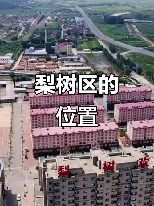 【一张图看懂黑龙江省鸡西市梨树区3月7日疫情数据_鸡西梨树疫情最新消息】