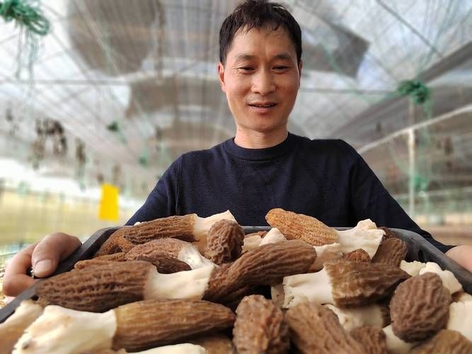 【贵州铜仁万山区最新疫情趋势:寻找同轨迹人员_铜仁万山区新闻】