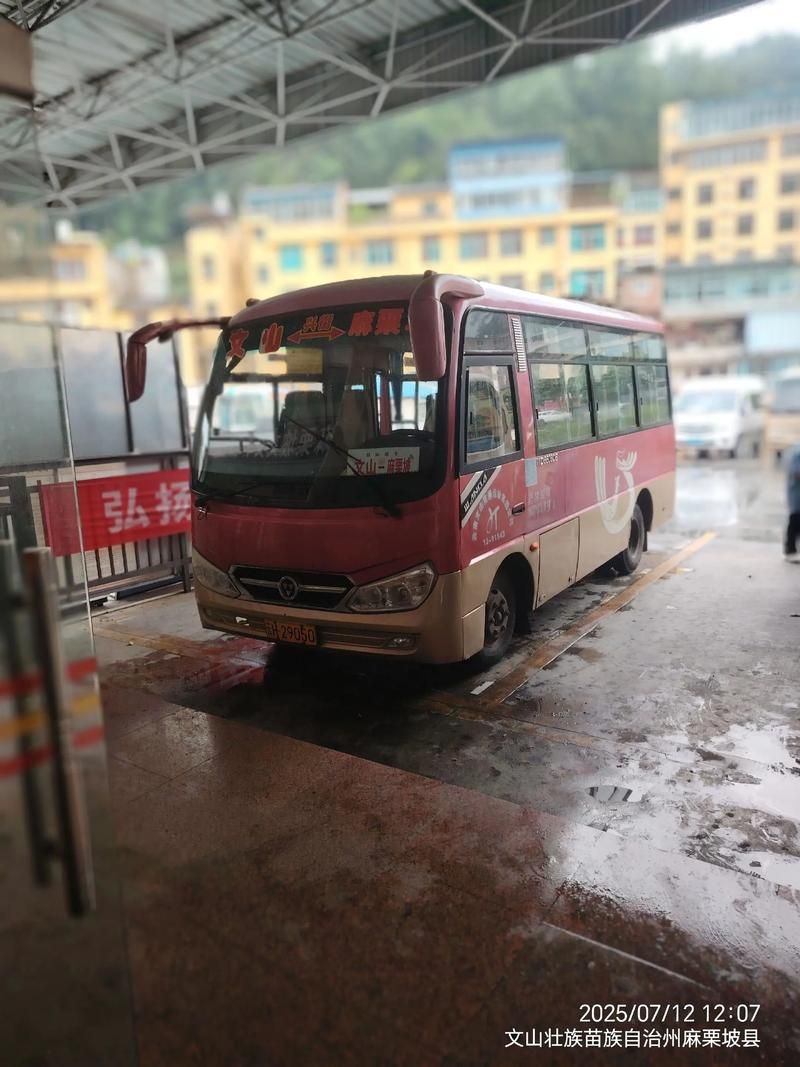 【云南省文山壮族苗族自治州麻栗坡县现有死亡病例1例,文山麻栗坡县刑事案件】