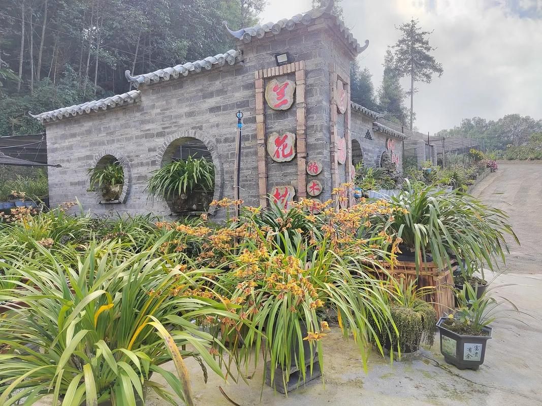云南文山壮族苗族自治州马关县新增8例核酸阳性，涉及西安区_云南省文山州马关县是哪个市