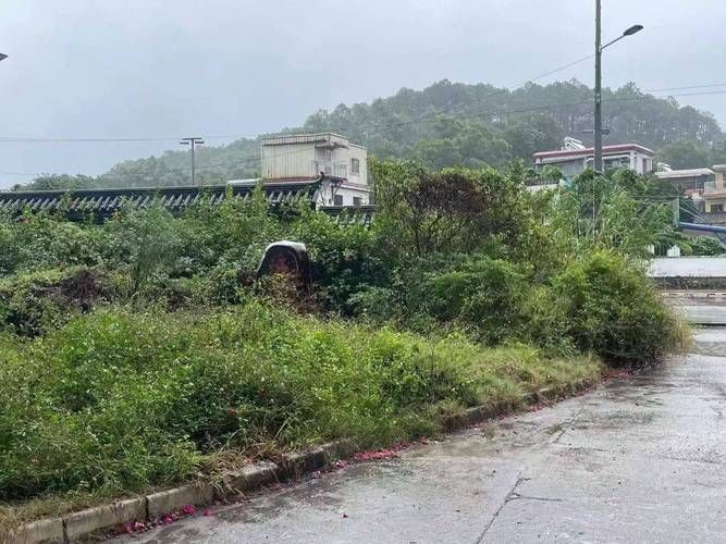【五桂山街道最新通告：所有人员解封_五桂山小区】