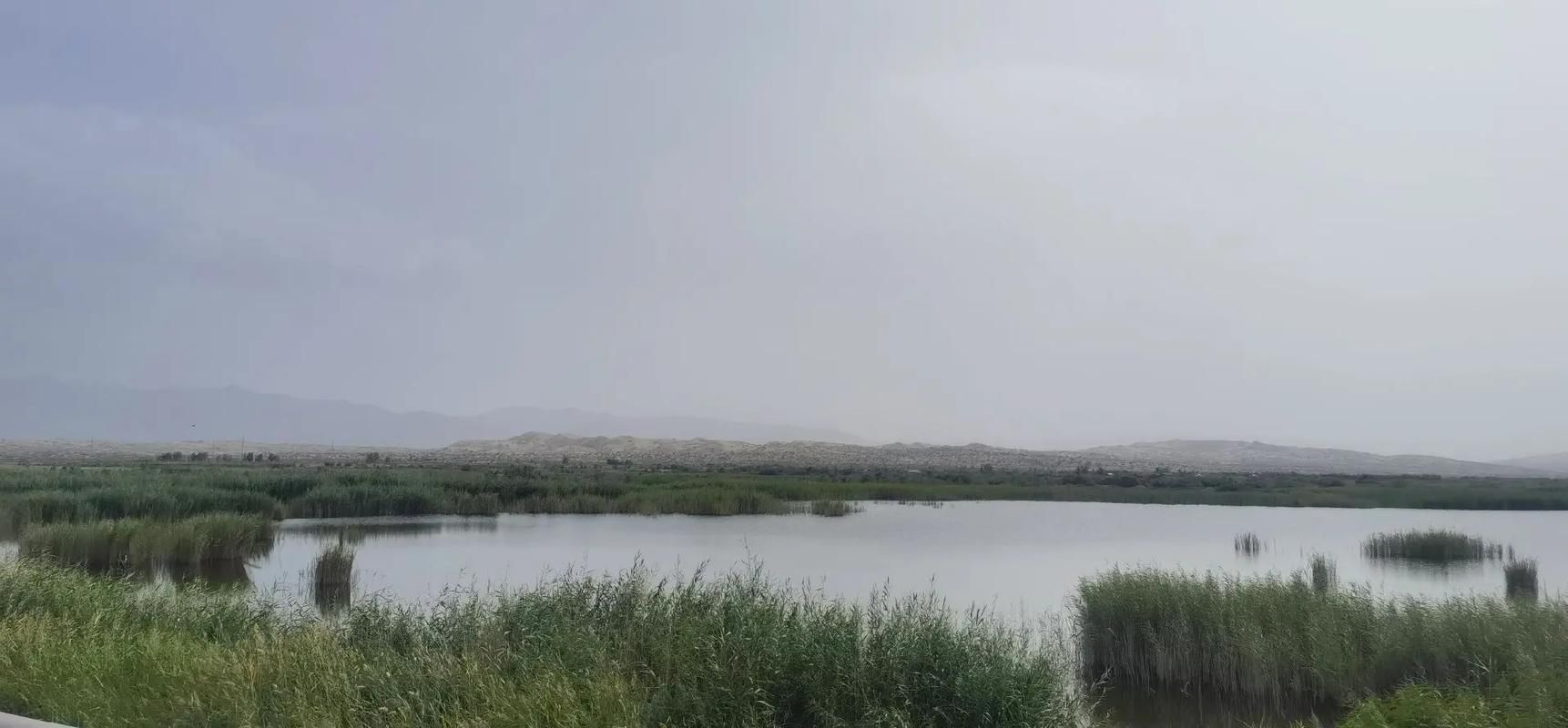 专家:新疆维吾尔自治区巴音郭楞蒙古自治州博湖县每年或现多个感染高峰的简单介绍