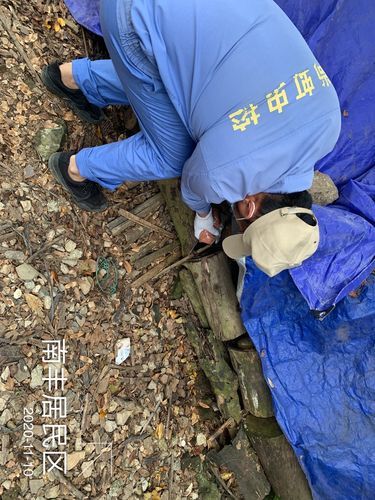 【海南儋州南丰镇现有无症状感染者11例_儋州市南丰镇属于哪个区】