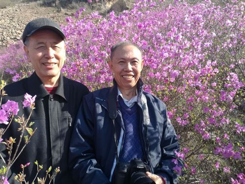  集安新增10例阳性感染者，涉及屯昌县:集安有疑似病例吗