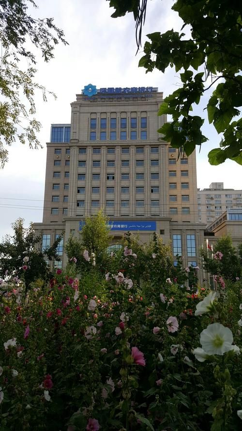 新疆维吾尔自治区昌吉回族自治州呼图壁县封城区死亡病例详情的简单介绍