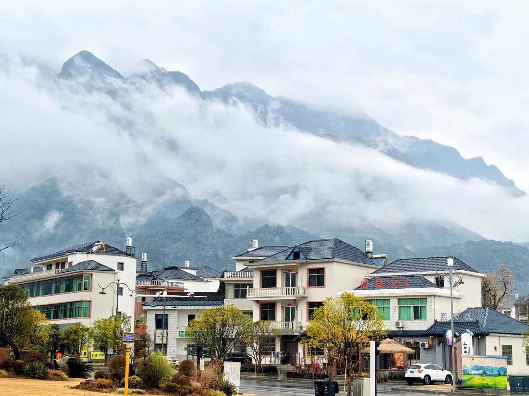 【疫情视频最新庐山,庐山最新消息】