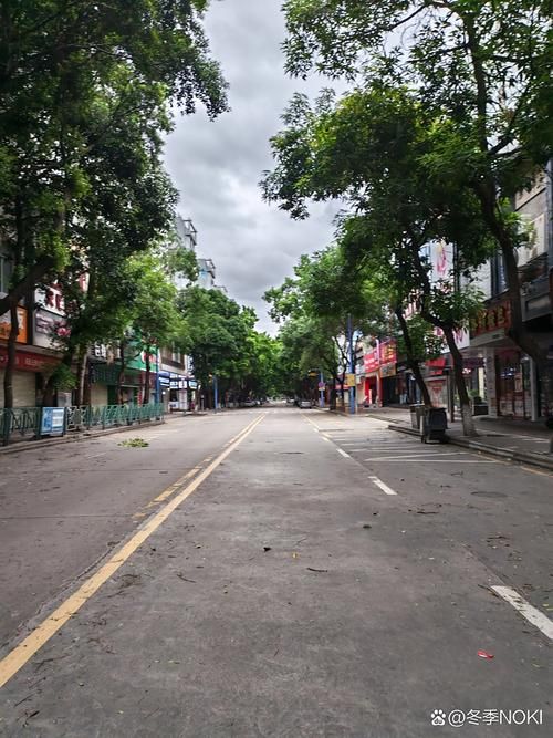 查找最新疫情白杨市:杭州白杨街道疫情
