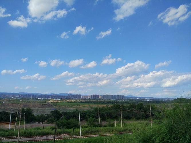 查找东洲区最新疫情_东洲区天气预报详情