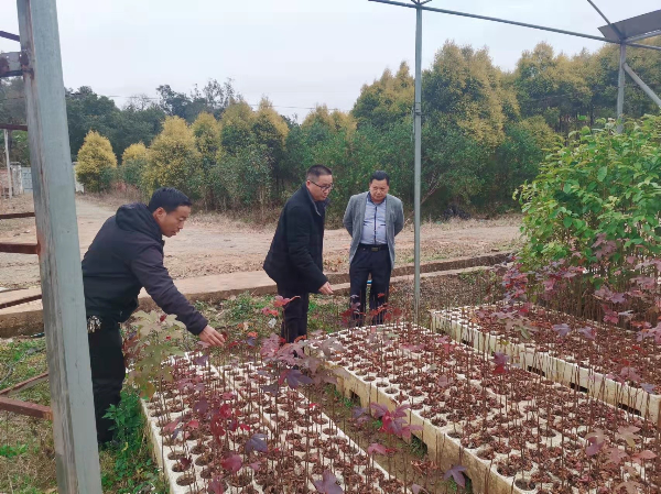 疫情广东韶关南雄最新情况(广东南雄疫情最新疫情分布)