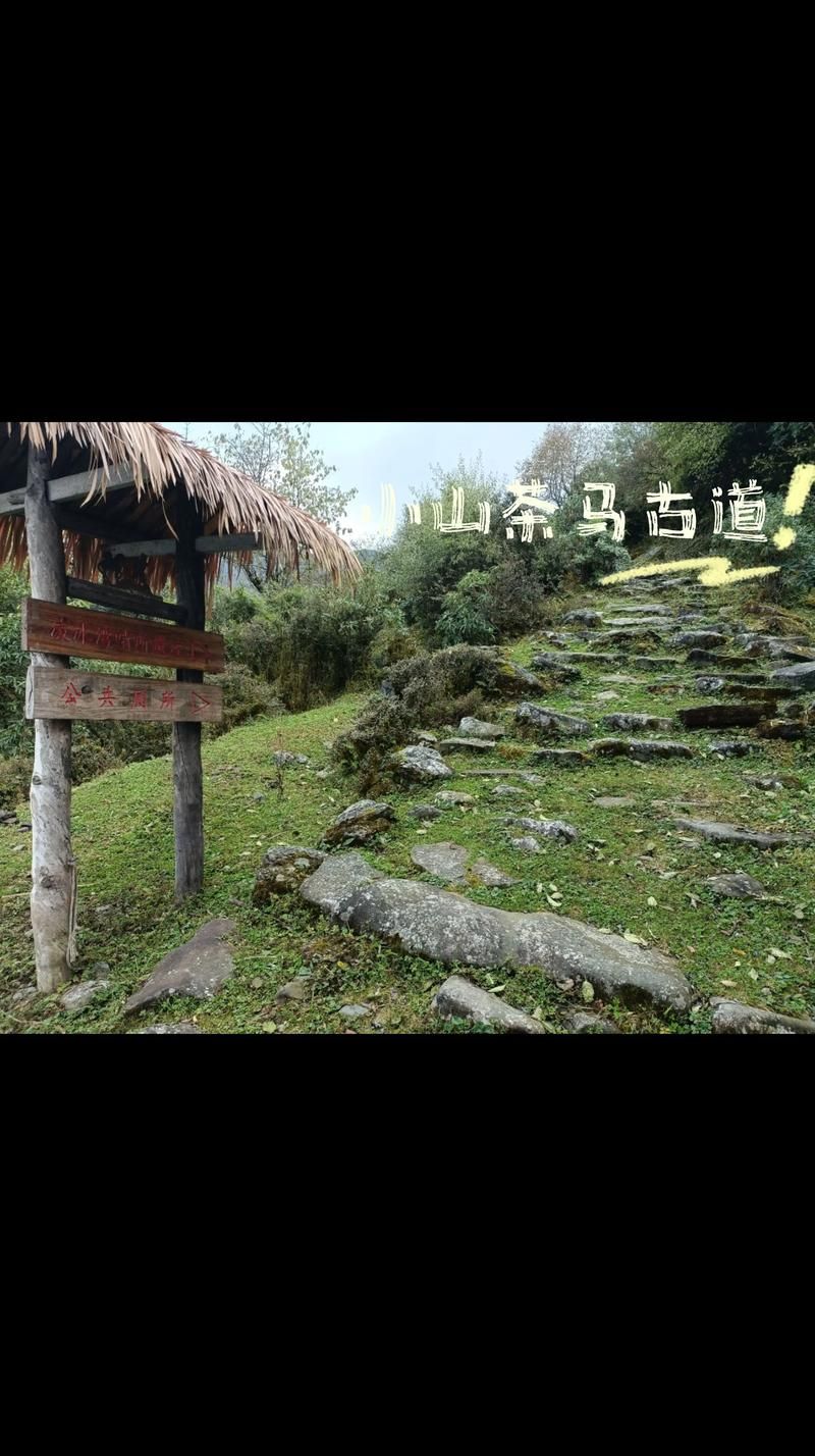 【四川凉山彝族自治州越西县疫情今冬消息最新_凉山州越西县卫星地图】