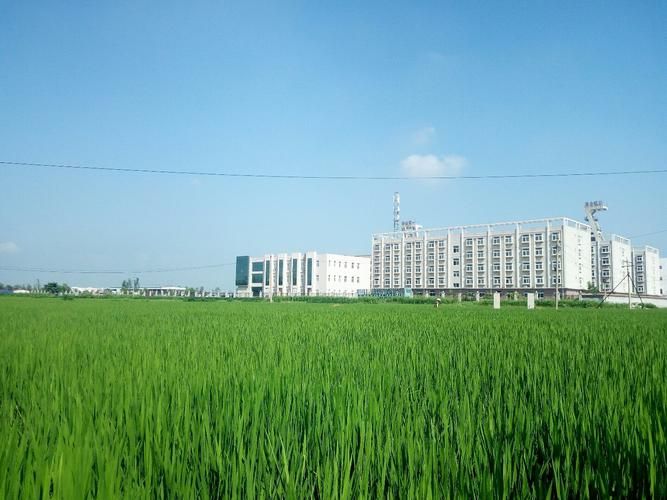 专家:山东省济宁市鱼台县每年或现多个感染高峰/山东济宁鱼台县怎么样