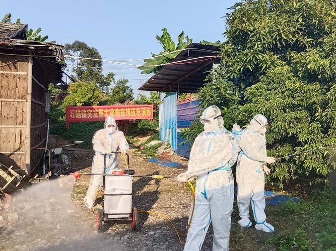 石碣镇近期最新消息疫情/石碣镇是哪里的