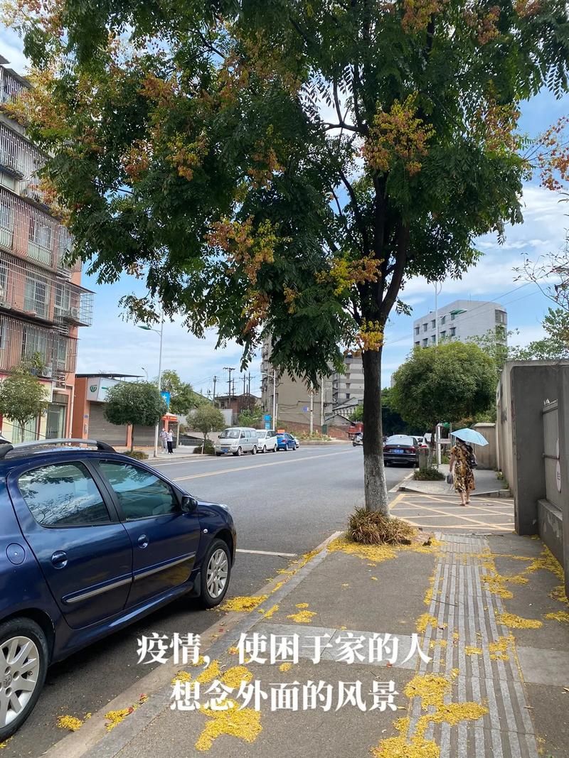 【四川省泸州市龙马潭区最新疫情情况通报_四川省泸州市龙马潭区区号多少】