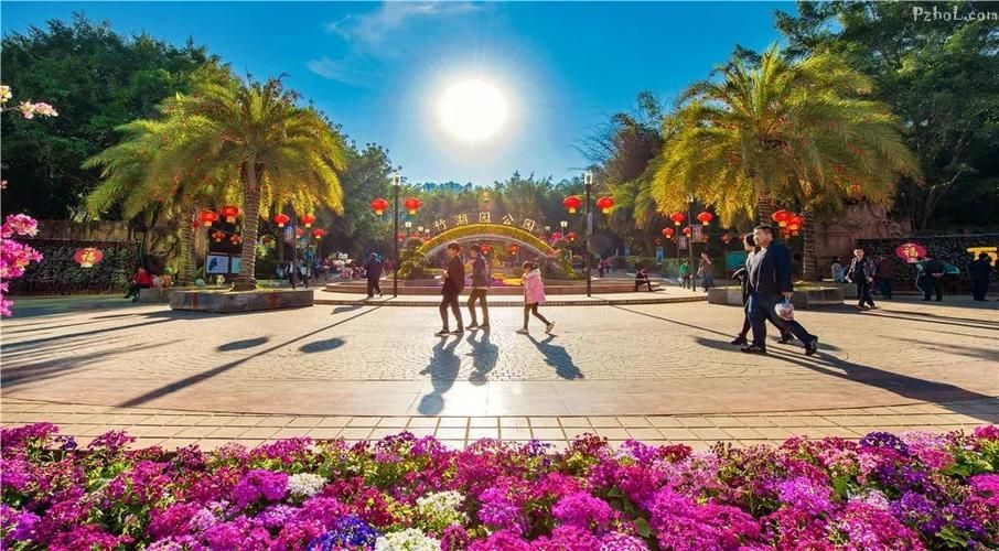 近7天四川省攀枝花市疫情最新(四川攀枝花新冠肺炎)