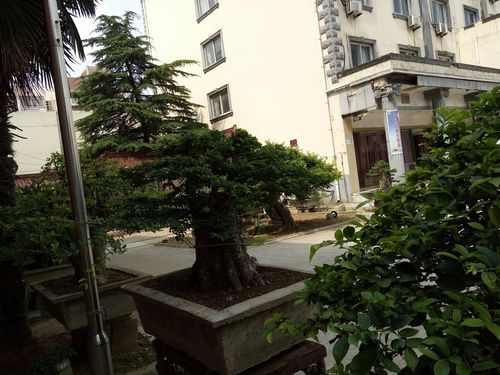 安徽省滁州市凤阳县发现1名密接者!/安徽凤阳确诊