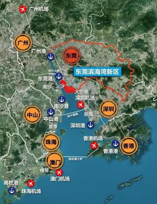 广东东莞东莞滨海湾新区疫情怎么查风险地区/广东省东莞市滨海湾区