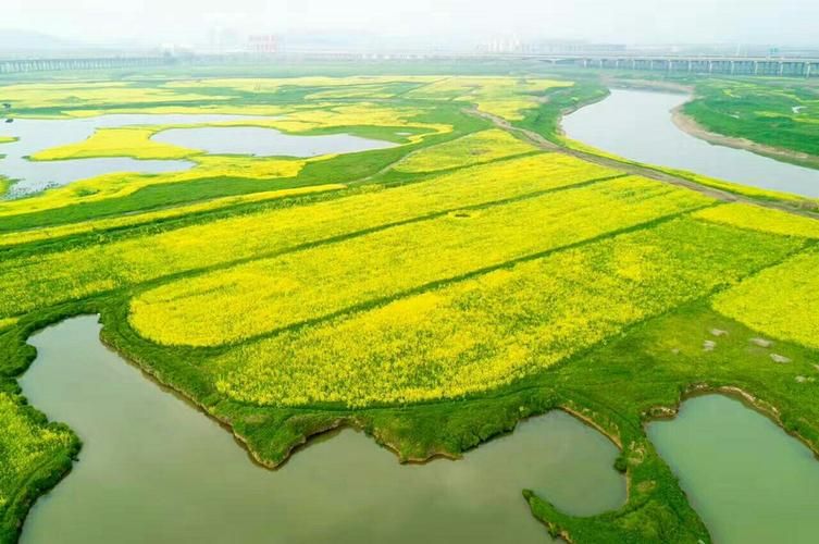 湖北孝感孝南区疫情分布图最新_孝感地区疫情速报