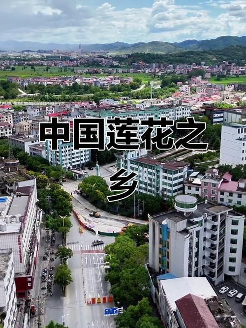 查找江西省萍乡市莲花县最新疫情_江西萍乡莲花镇