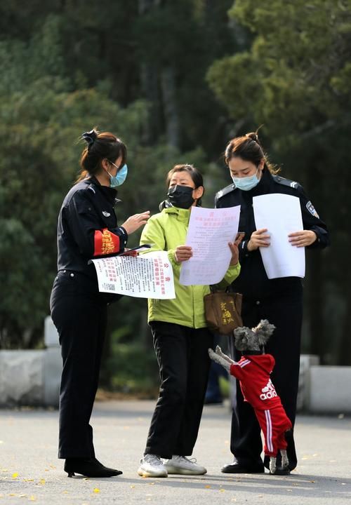 【解读疫情最新消息凌河区_凌河区疫情防控电话】