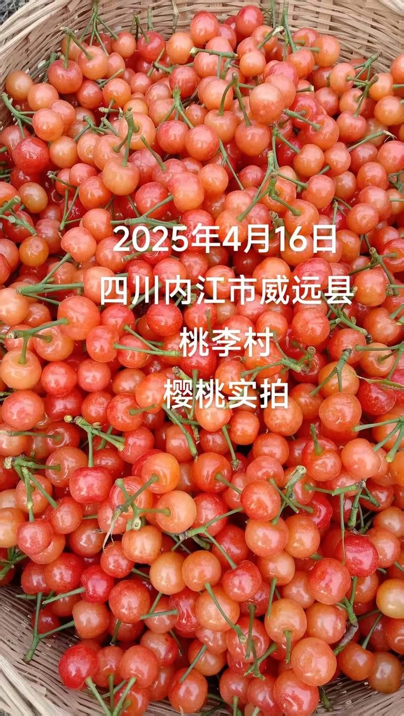 疫情四川内江威远县最新通知:内江威远疫情最新消息