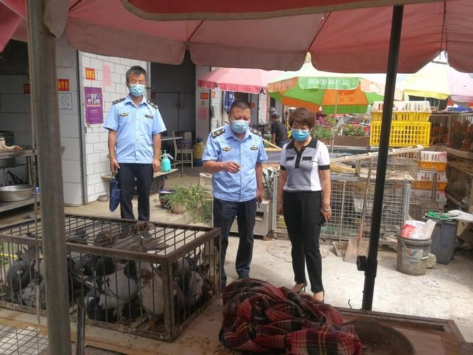 【甘肃省白银市平川区各地区疫情等级_白银市平川区疫情防控措施】