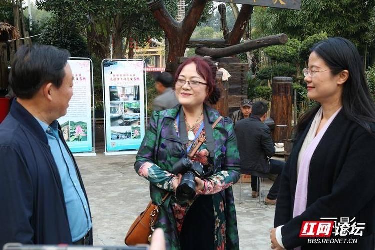 专家:花溪区每年或现多个感染高峰_花溪区属于哪个县