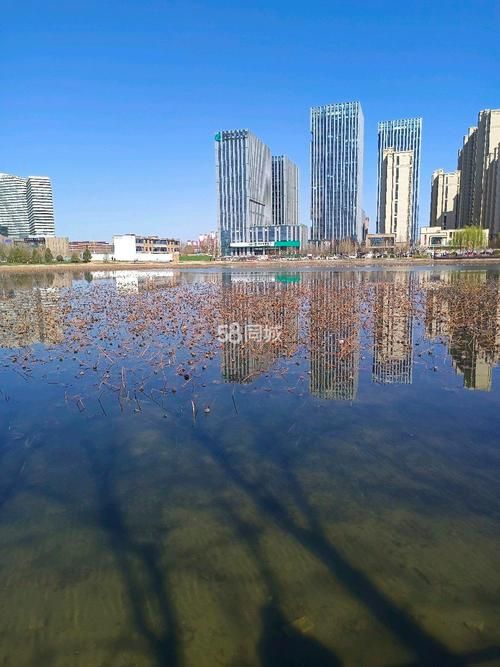 【河北省保定市莲池区足不出户标准最新公布_保定莲池区房源最新消息】