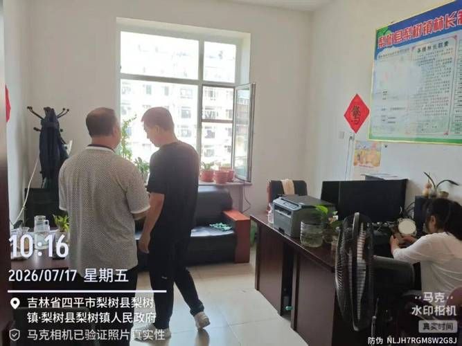 吉林省四平市梨树县地区有没有发现疫情/吉林省四平市梨树镇