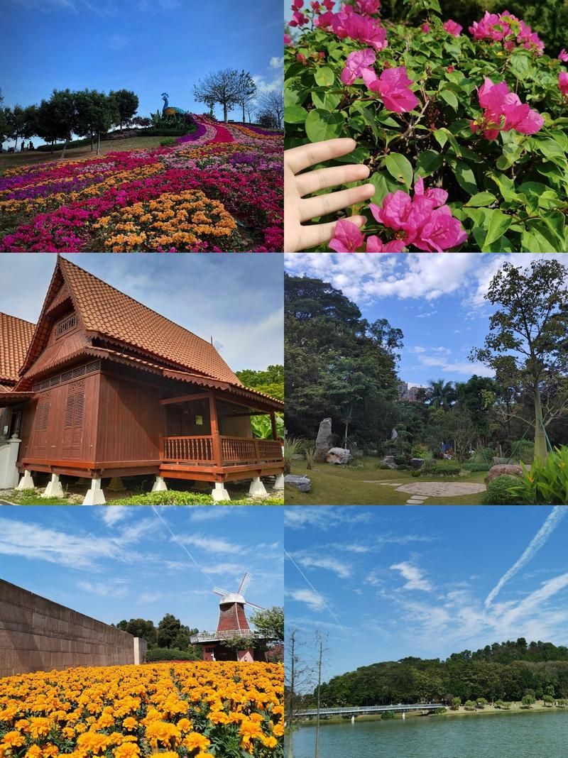 查找最新疫情广东省东莞市东莞生态园/东莞生态园好不好玩