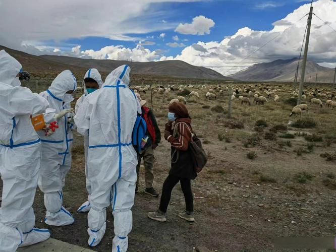 【西藏自治区昌都江达县中高风险地区疫情_昌都江达县海拔约为3600m】