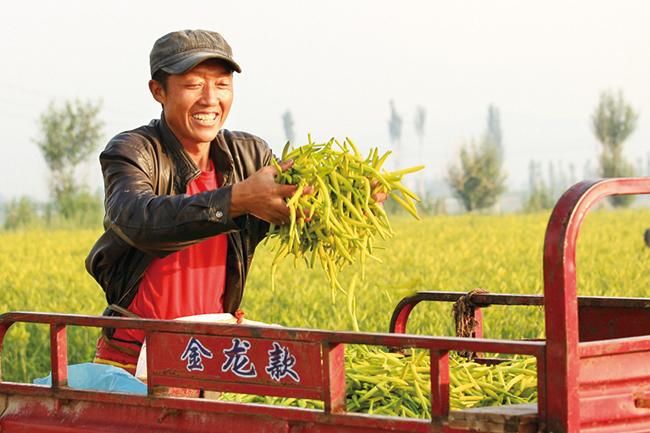 山西省大同市云州区哪里地区有疫情了呢(乙肝患者可以吃茄子吗)