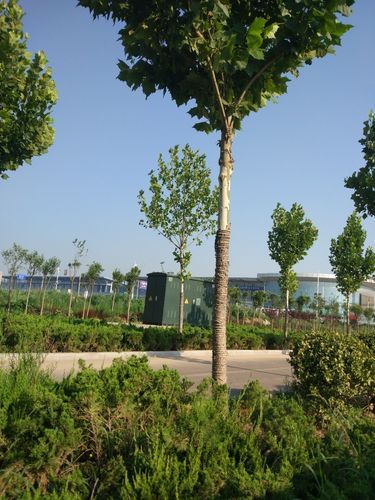 【解读河北省邯郸市丛台区疫情最新消息,河北省邯郸市丛台区区号是多少】