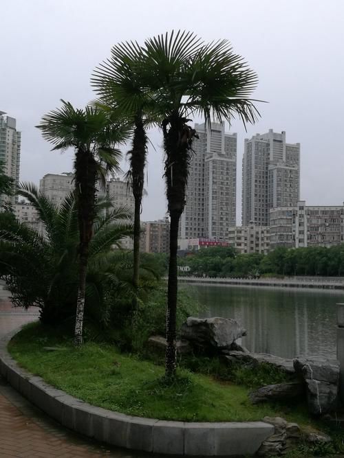 江西南昌西湖区什么时候可以足不出户/南昌西湖区今天多大