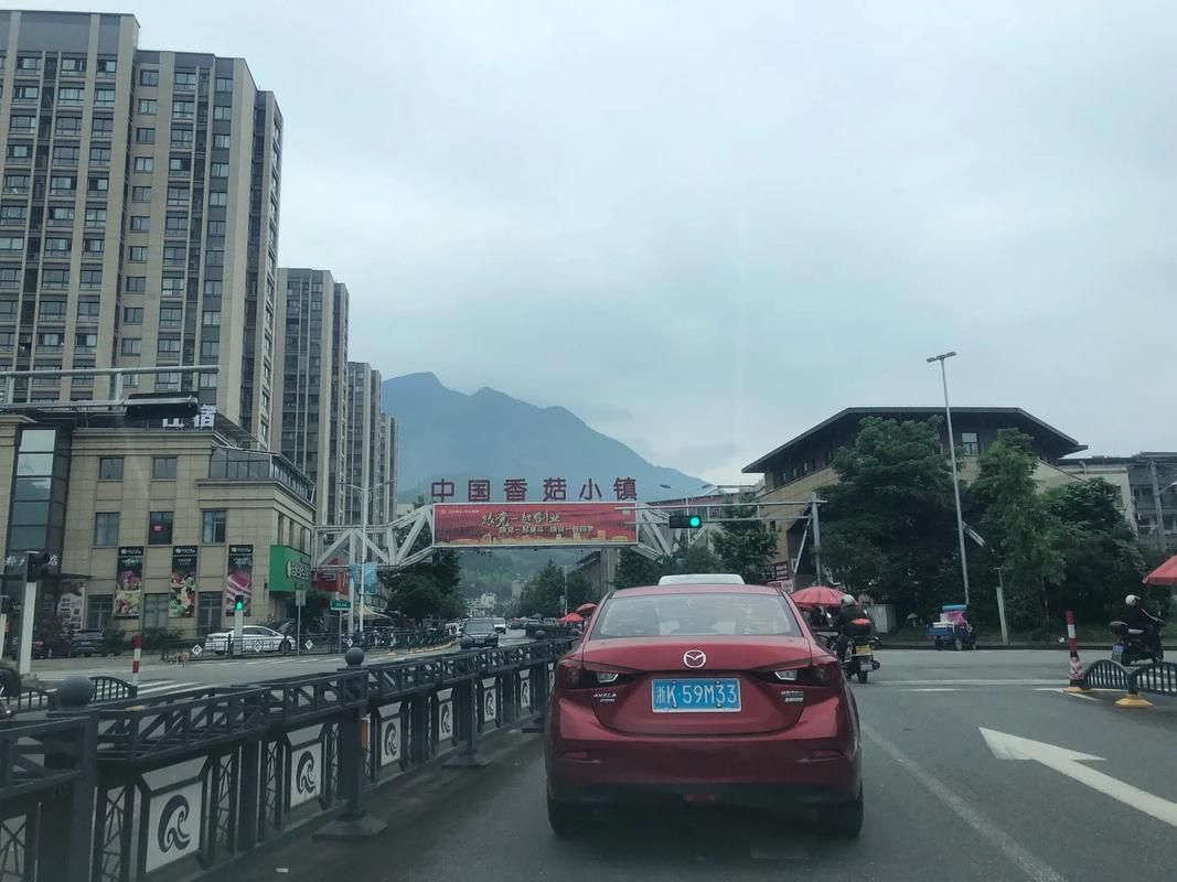 浙江省丽水市庆元县通报12例无症状感染者详情(浙江省丽水地区庆元县)