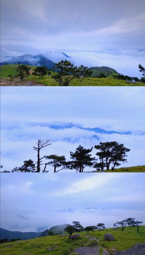 【福建莆田仙游县疫情管控区最新消息,莆田仙游风景区】